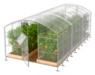 Solidna szklarnia NOWA z poliwęglanu – idealna ochrona roślin