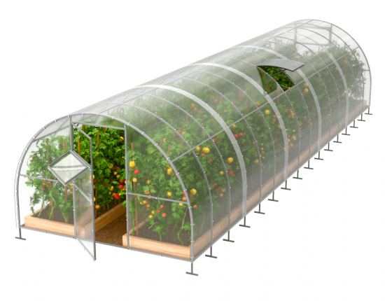 Szklarnia Tunel 3x12  profile 20x40 poliwęglanu 4mm