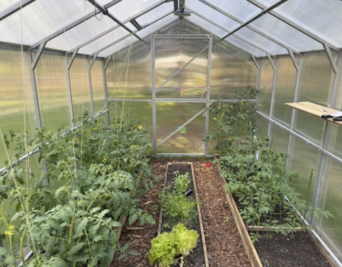 Szklarnia DOMEK – solidna i funkcjonalna szklarnia z poliwęglanu