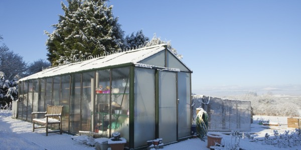 Zabezpieczenie szklarni ogrodowej przed mrozem i wiatrem zimowym